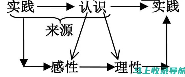 SEO优化在门户网站中的案例分析