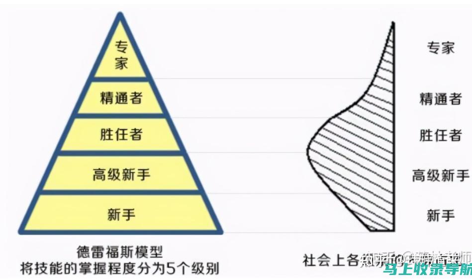 从新手到专家：站长统计工具全方位解析与应用指南